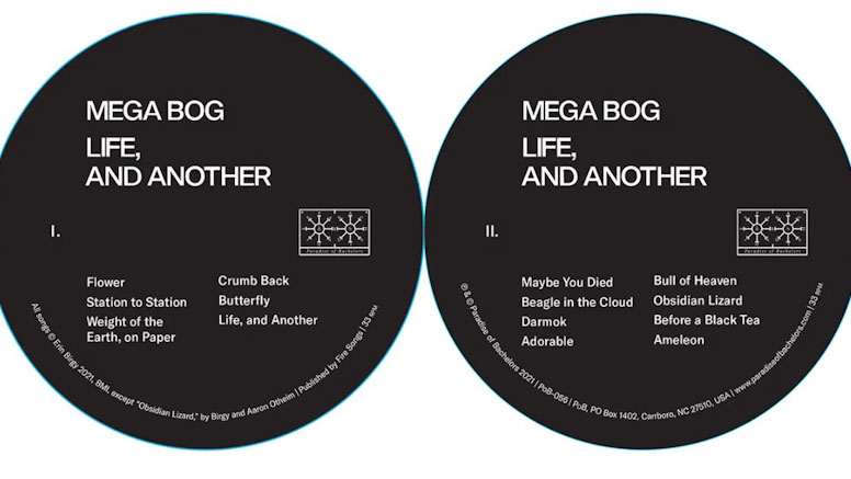 LP Mega Bog “Life, And Another” (Fire Songs Everlasting Records)