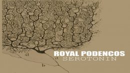 Royal Podencos