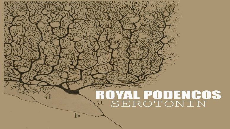 Royal Podencos